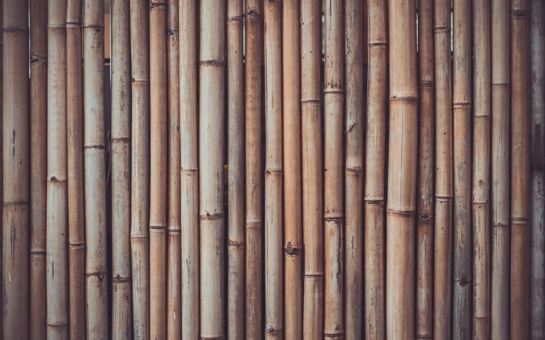 Bamboo wooden background. Vintage toning